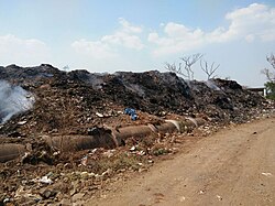 Solid_wastwe_in_kolhapur_2