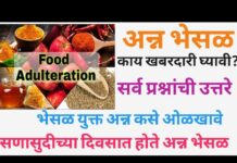 भेसळअन्नपदार्थाचा 1 कोटी 58 लाख 28 हजार रुपयांचा साठा जप्त